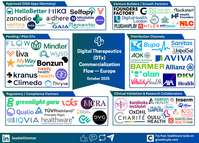 The 6-Category Framework: Mapping the Digital Therapeutics (DTx) Commercialization Path